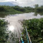 Khôi Vũ Profile Picture