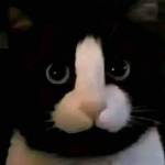 Ku Ty Profile Picture