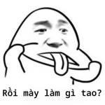 Luong Nguyễn Profile Picture