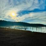 luan vo minh Profile Picture