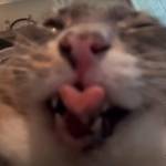 dân chơi gãy cánh Profile Picture