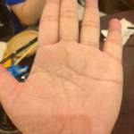 Phương Lê Profile Picture