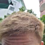 Phong Thái Profile Picture