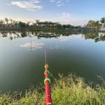 Long dỗ Profile Picture