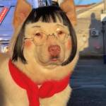 Hy Khang Profile Picture