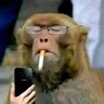 Da To Profile Picture