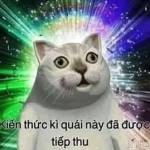 Huydz Nguyn Profile Picture