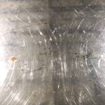 longabc Profile Picture