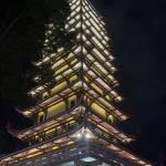 Quang1993 Profile Picture