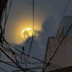 Nguyennn Profile Picture