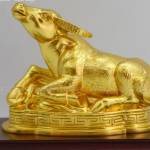 Nguu Kim Profile Picture