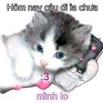 phuc dương Profile Picture