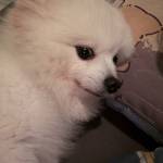 Lôi Lưu Profile Picture