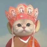 putin pham Profile Picture