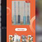 Le Bao Profile Picture