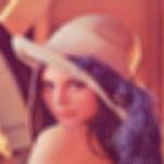 adam nguyen Profile Picture