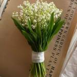 Khang Khang Profile Picture