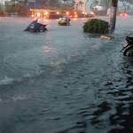 M Mã Profile Picture