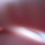 Anh Bin Profile Picture