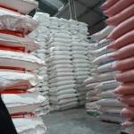 Phú Nguyễn Profile Picture