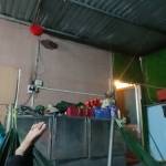 văn phụng Lê Profile Picture