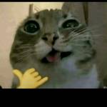 Tây Lê Profile Picture