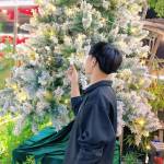 Shinnguyen Profile Picture