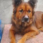 Chem Hồ Profile Picture