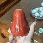 sơn văn Profile Picture