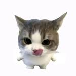 lehieu2611 Profile Picture