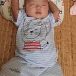 Đồng Nguyễn Profile Picture