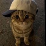 Xung Xung Profile Picture