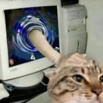 Vỹ Tr Profile Picture