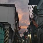 Hi Ha Profile Picture