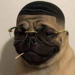 Nam Ngô Profile Picture