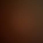 No Hout Profile Picture