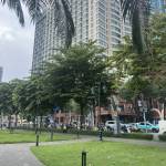 Lâm Phan Profile Picture