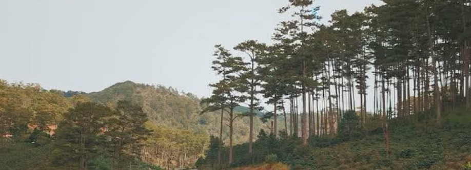 THU HƯƠNG Cover Image