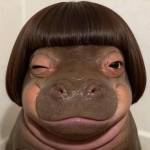 Vu Ah Profile Picture