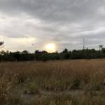 phamnhatquang0782 Profile Picture