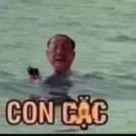 tên Giấu Profile Picture