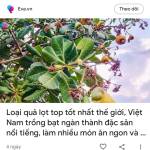 Duongtran9x Profile Picture