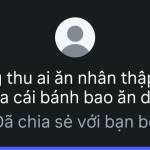 toan phat bui Profile Picture