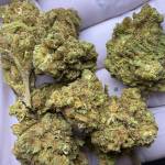 Long Anh Profile Picture