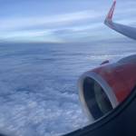 Trọng Lưu Profile Picture