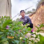 Dương Nhật Duy Dương Nhật Duy Profile Picture