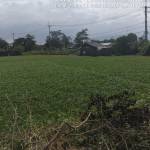 nam nguyễn Profile Picture