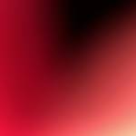 Nguyên Nguyễn Profile Picture