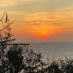 Bibinguyen123 Profile Picture