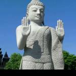 Quân Nguyễn Profile Picture